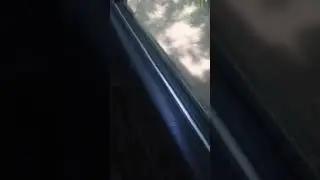 Утонули на пятёрке