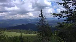 Кукуль-2020