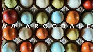 Rainbow Eggs