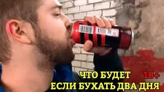 ЧТО БУДЕТ, ЕСЛИ БУХАТЬ ДВА ДНЯ ТЕСТ ОТ МЫЛЫША