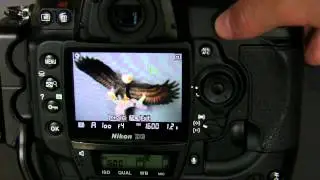 Yellow Wood Guiding - 5 Steps of Photography HD