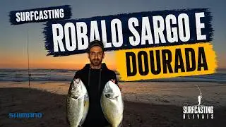 Dourada, Robalo e Sargo na mesma jornada
