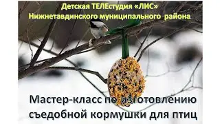 Покормите птиц зимой ЧАСТЬ 2 МАСТЕР КЛАСС по изготовлению съедобной кормушки