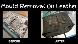 How To Remove Mould On Leather and PPE - Mold Removal