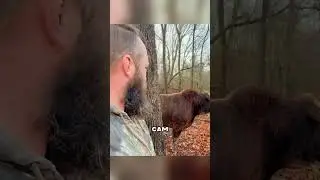 Face to face with the heavyweight Buffalo😱