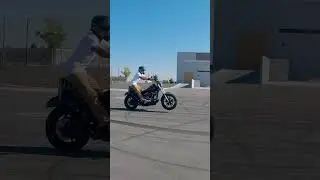 Wheelie Wednesday #harley #wheelie #harleywheelies #harleydavidson