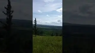 леса Заб край