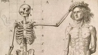 🧠PEAK ANATOMY SUBLIMINAL 🫀