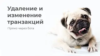 МОбс - Изменение и удаление транзакций через бота