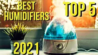 BEST HUMUDIFIERS IN 2021 ( FRESH HOME !!! AND THEY REALLY COMFORTABLE)