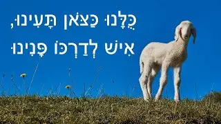 כֻּלָּנוּ כַּצֹּאן תָּעִינוּ, אִישׁ לְדַרְכּוֹ פָּנִינוּ