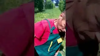 Виноградный прорыв Сумщины. Обработка монофосфатом.