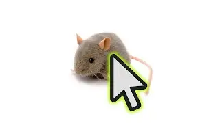 Mouse Click - Sound Effect (HD)