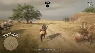 Steal - Red Dead Online