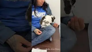 My overly dramatic bunny 🙈
