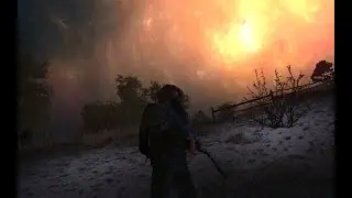 STALKER ONLINE: ИТОГИ КОНКУРСА