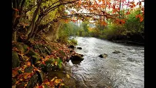 Let's go to the Crick | A Naddpod fansong