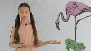 Программа Fanny Kids на телеканале Навигатор