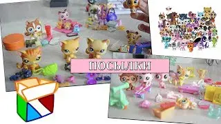 LPS:  ВАШИ ПОСЫЛКИ  l НОВЫЕ ПЕТЫ И МНОГО АКСОВ