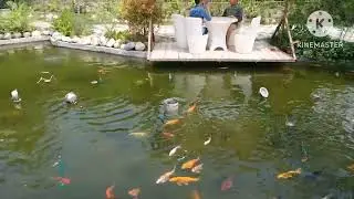 Rangpur chikli park. second part.