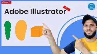 Adobe Illustrator Training Class 03 Direct Selection Tool Pashto
