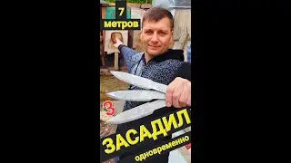 Throwing 3 knives at once from 7 meters | 