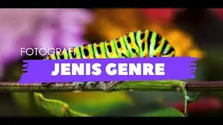 Jenis Genre Fotografi