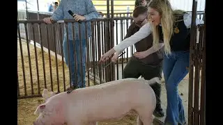 BAHS FFA hosts Unified Champions Pig Show at Vanguard Academy