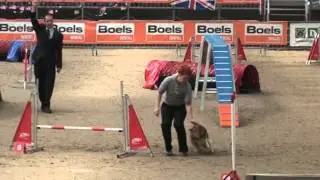 WC-2016  Agility IFCS Аджилити двоеборье  Кримчик-Экстримчик