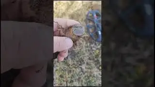Металлоискатели в Казахстане, Алматы.