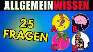 Finde SCHNELL raus wie gut dein Allgemeinwissen ist! (2025)