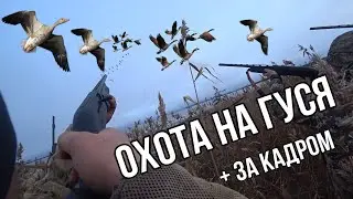 Goose Hunting Uncut + Behind the Scenes