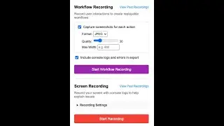 Chrome Debug: Workflow vs Screen Recordings – Full Walkthrough & Demo