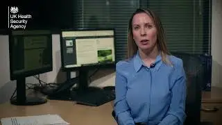What is Lyme disease?