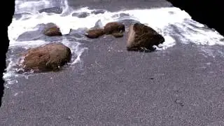Ocean Simulation Realflow , 3ds max vray
