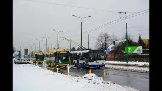Nowe Solarisy Trollino 12 IV - Prezentacja 12.01.2019 [TLT Tychy]