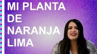 Reseña Mi Planta de Naranja Lima - José Mauro de Vasconcelos