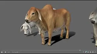 Haciendo una comisión Modelado y esculpido Blender 3D