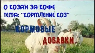 Кормление коз  Кормовые добавки