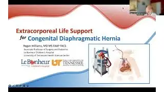 Extracorporeal Life Support: Cannulation Strategies, Decannulation Strategies & Long Term Follow Up