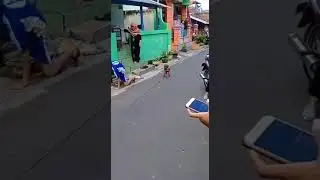 topeng monyet  naik sepeda nabrak anak hingga tersungkur di jalan