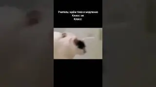 Жиза для первоклашек. 