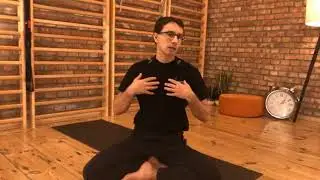 WHAT IS ZOGA MOVEMENT?