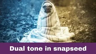 Dual tone effect photo editing in snapseed | dual tone editing snapseed | dual tone using snapseed