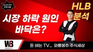 [오후시황]  HLB 분석 / 시장 하락 원인. 바닥은?