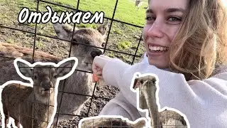 Поехали кормить животных, отдыхаем