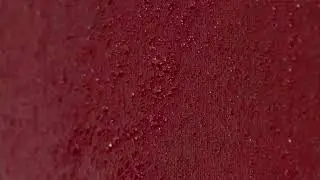 Hermann Nitsch I Schüttbild, 2004