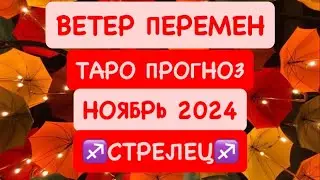 ♐️СТРЕЛЕЦ♐️ ВЕТЕР ПЕРЕМЕН .НОЯБРЬ 2024. ТАРО ПРОГНОЗ