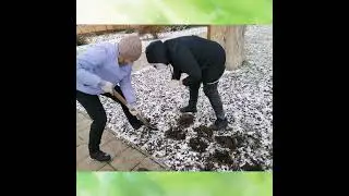 Благодій освітній проєкт "Flowers school"