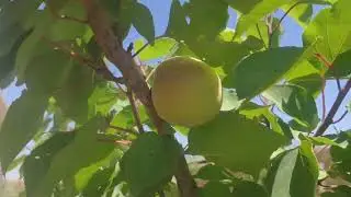 ЕВПАТОРИЯ! Немного о наших новостях!